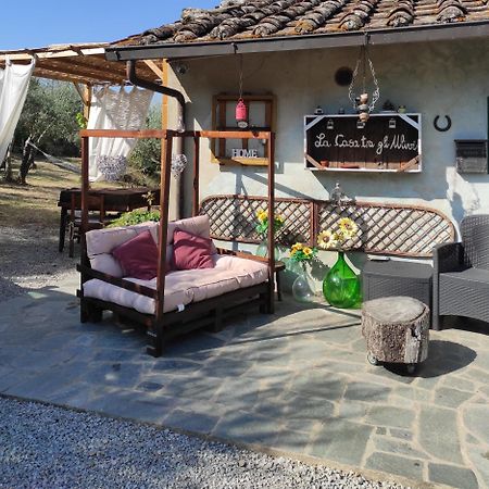 Bed and Breakfast La Casa Tra Gli Ulivi Cortona Zewnętrze zdjęcie