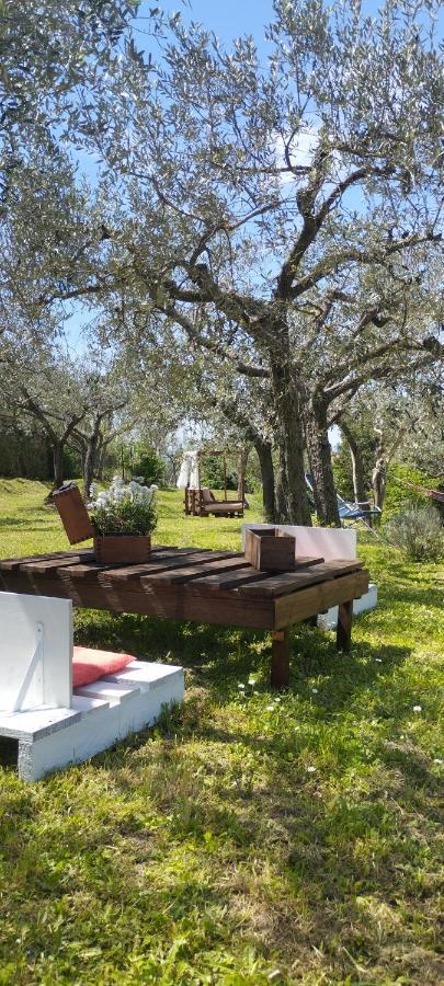 Bed and Breakfast La Casa Tra Gli Ulivi Cortona Zewnętrze zdjęcie