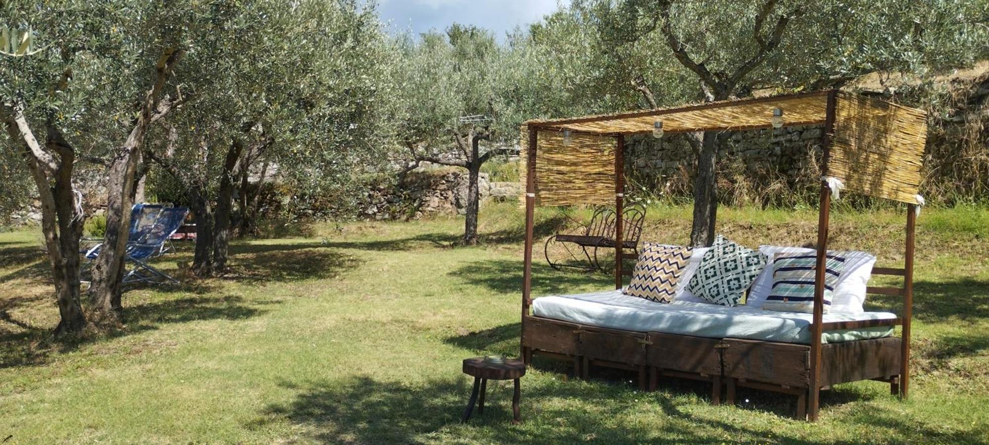 Bed and Breakfast La Casa Tra Gli Ulivi Cortona Zewnętrze zdjęcie