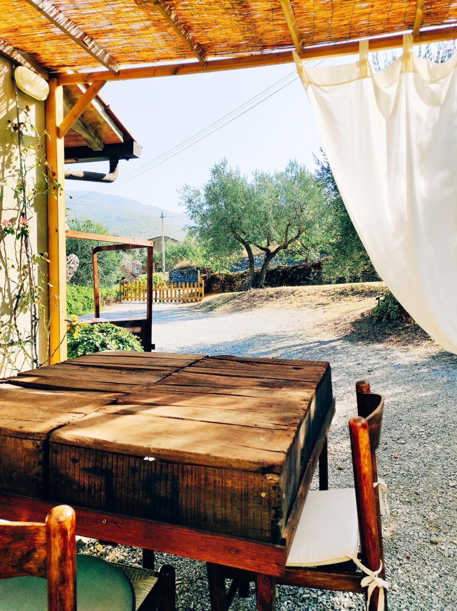 Bed and Breakfast La Casa Tra Gli Ulivi Cortona Zewnętrze zdjęcie